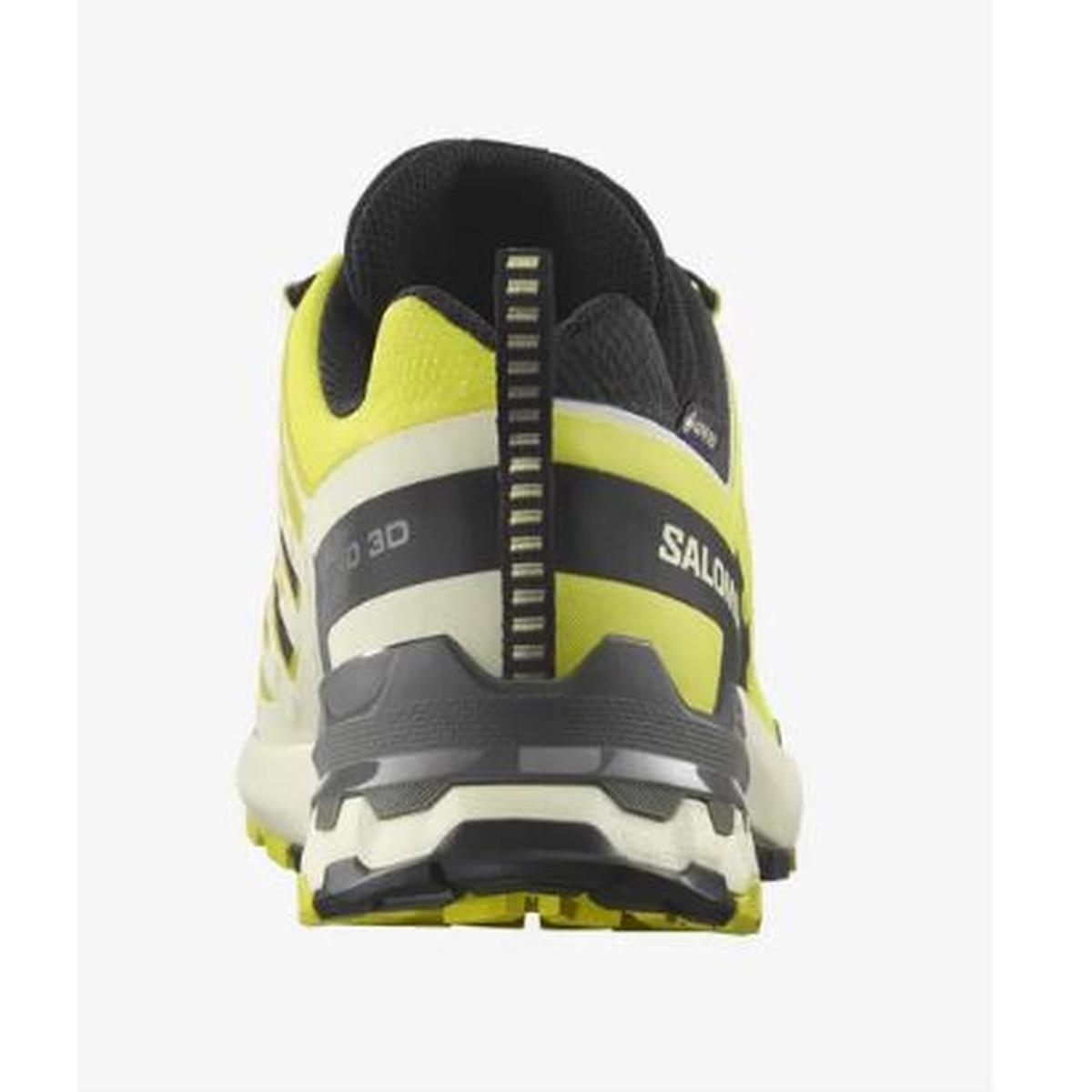 XA Pro 3D V9 Gore-Tex - SALOMON